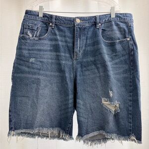Lane Bryant Distressed Denim Shorts